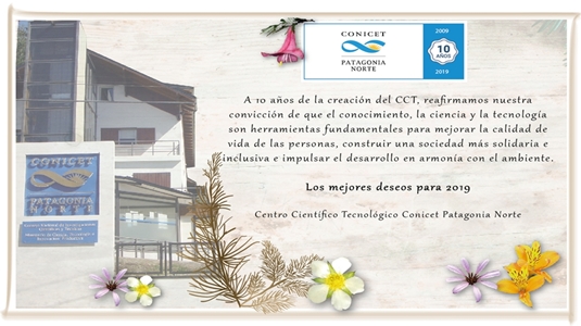 Tarjeta saludo 2019 web Tarjeta saludo 2019 web